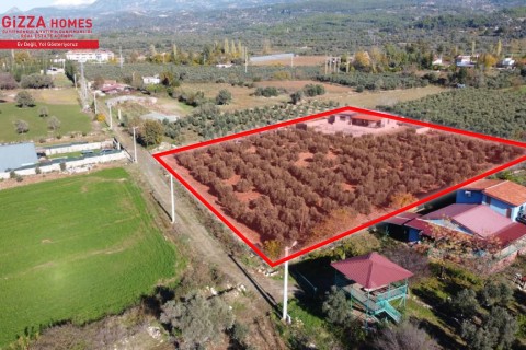 Seydikemer Kadiköy mah 5479m2 Tarla Içinde 3+1 Mustakil Villa