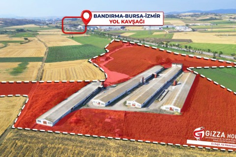 Balıkesir Bandırma Kuşcenneti 82 Dönüm Tavuk Çiftliği Satılık 