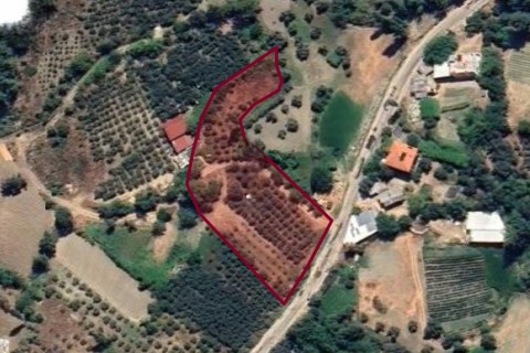 SEYDİKEMER BAĞLIAĞAÇ MAH. YOLA CEPHE 1.196 M2 ACİL SATILIK TARLA