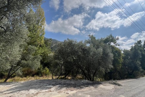 İslamlar Mah. 2206 m² Köyiçi Bahçe Arsa Yatırım Fırsatı