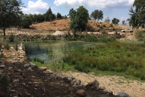 seydikemer yaka köyünde satılık tarla